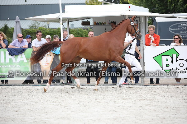 170 Lalique Taonga (All at Once x Obsession v. Jazz)