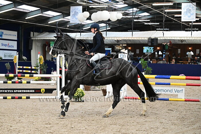 Zoe Pauwels - Sire du Frontiere ZP