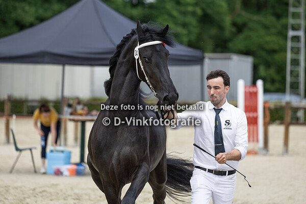 24. Valerie van de Demro Stables