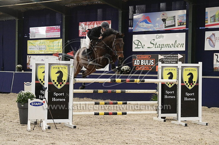 Brian Martens - Indiana Jones