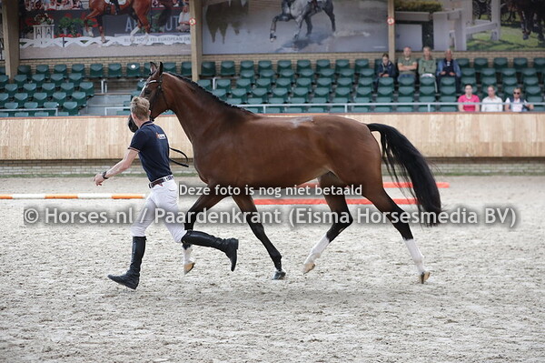 38 Nota Bene (Daily Diamond x Anne v. Tuschinski)