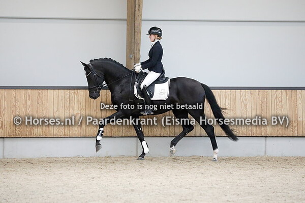 30-09-22 Zadelpresentatie en Herkansing KWPN hengsten