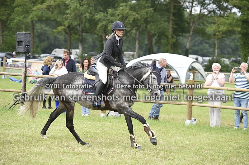 Maandag paarden springen 