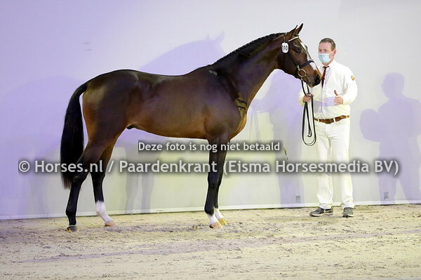 110 Numos (Hardwell x Bumosa v. Up to Date)