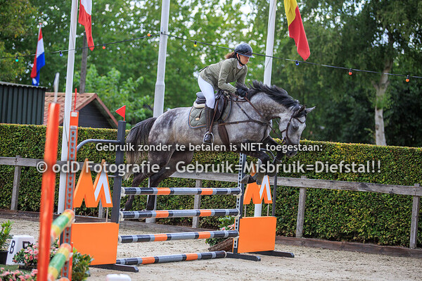 klaverblad concours hoevelaken 100cm 03-09-25