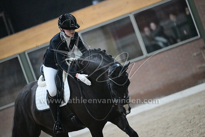 Dominique van Dalsen - Perfect M