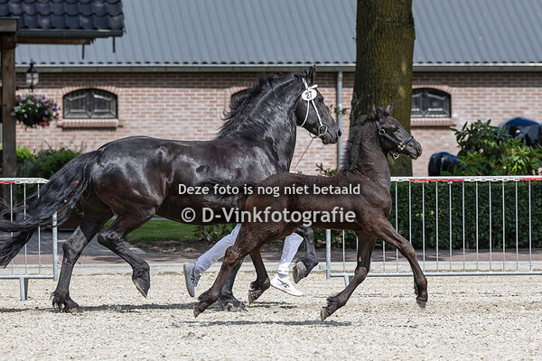 27. Dirk van de Mast