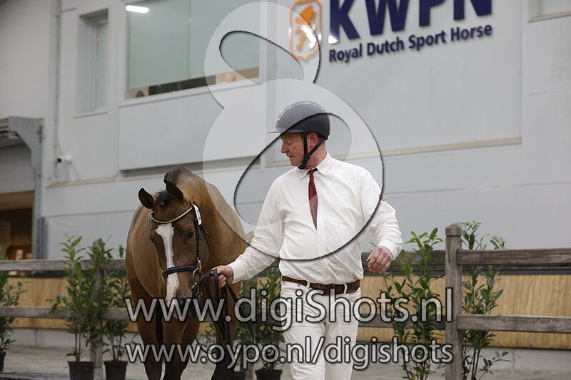 Rodeo v. Jukebox - 083