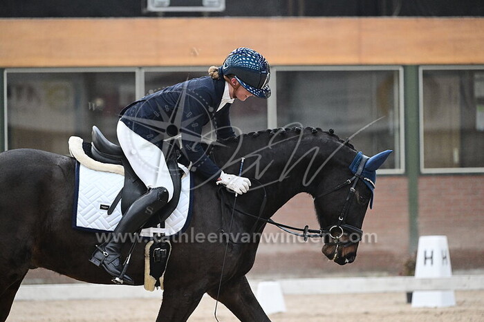 Pien Vroege - No Limit B