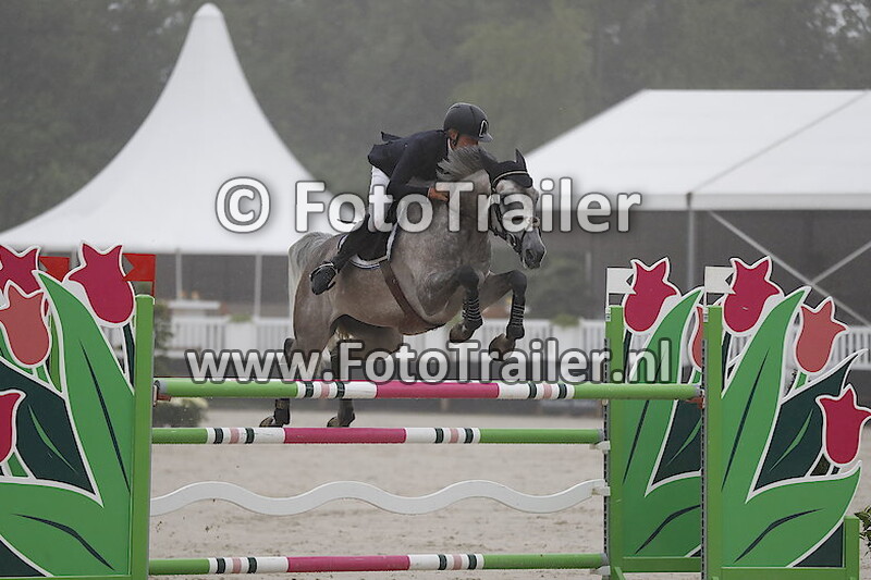 Dennis van den Brink