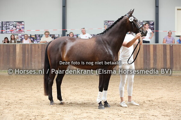 51 Oh'Lala (Everdale x Divaldi v. Vivaldi)