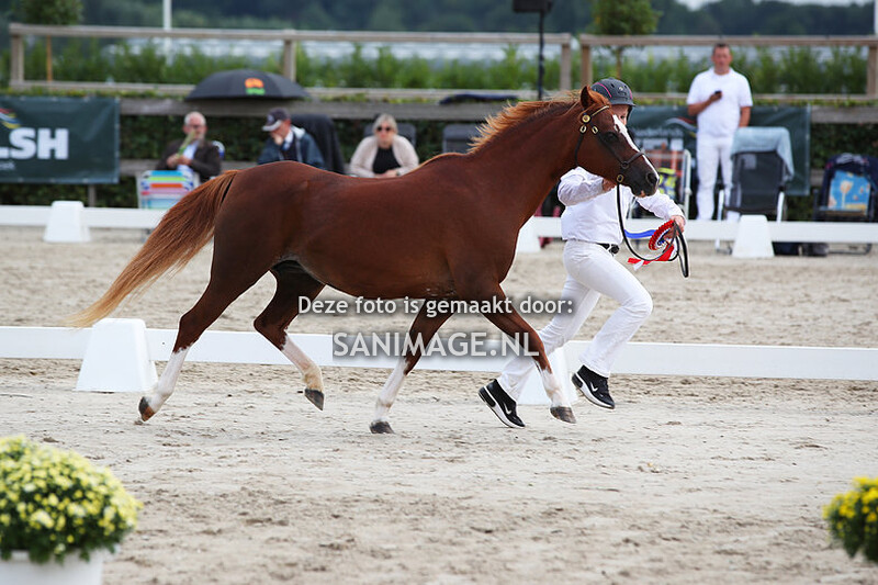 NWPCS Centrale Keuring Houten 26-08-2023 Ring 2
