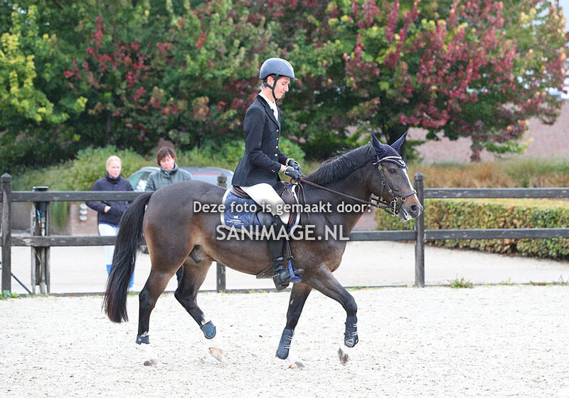 New Forest Sportdag 24-09-2022 Springen 100/110/120 cm