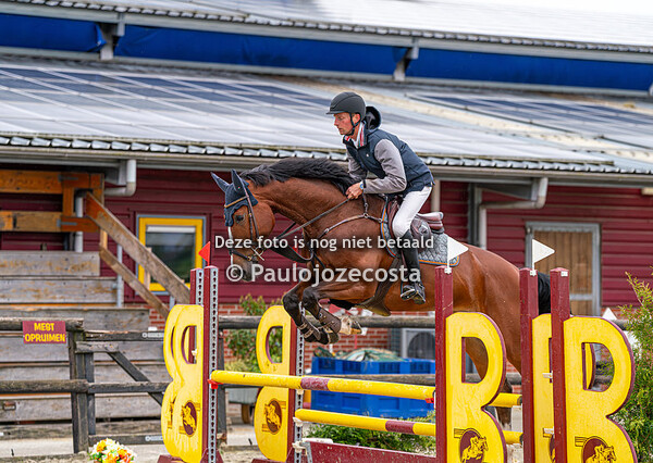 Outdoor Beukers - Paarden BB/BB80/BB90