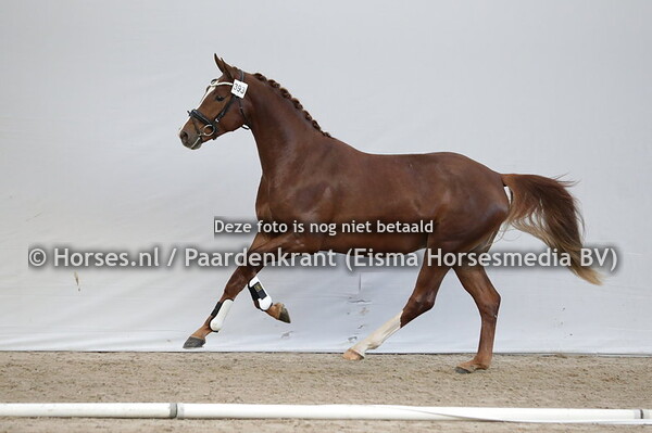 393 On The Rocks (For Romance x Be Aware v. UB 40)