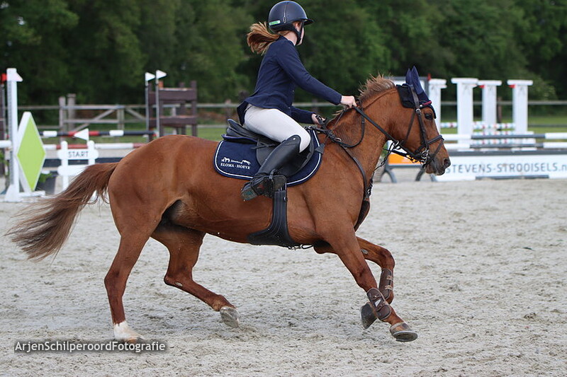 Hippisch Festijn PSV Polarfurst Pony's 90cm