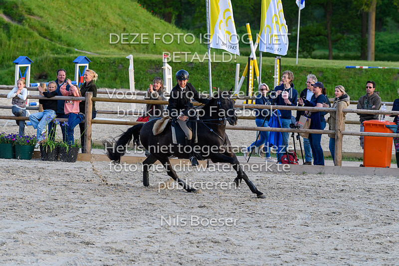 O4 Working Equitation