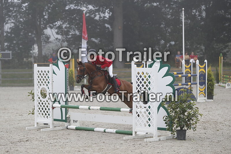 jo ann von der heide