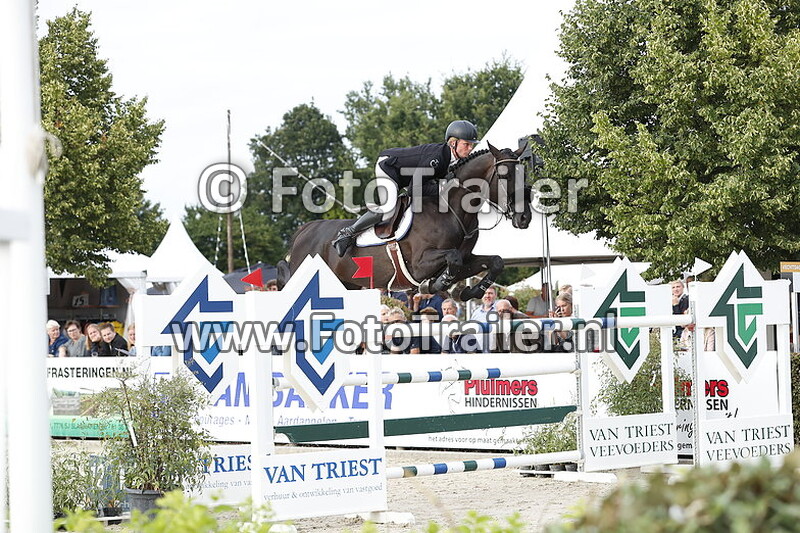 dennis van den brink