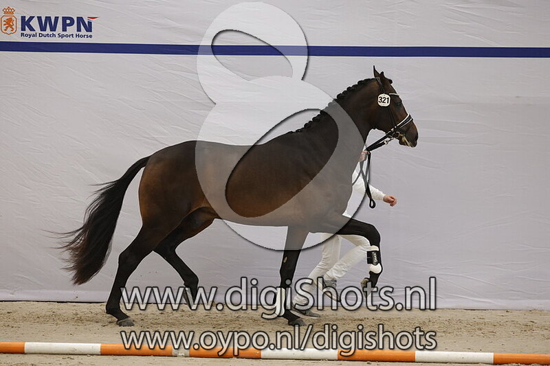 Stromae LH v. Dynamic Dream