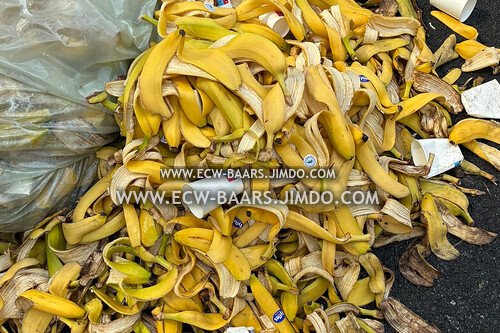 2025 Rotterdam Marathon