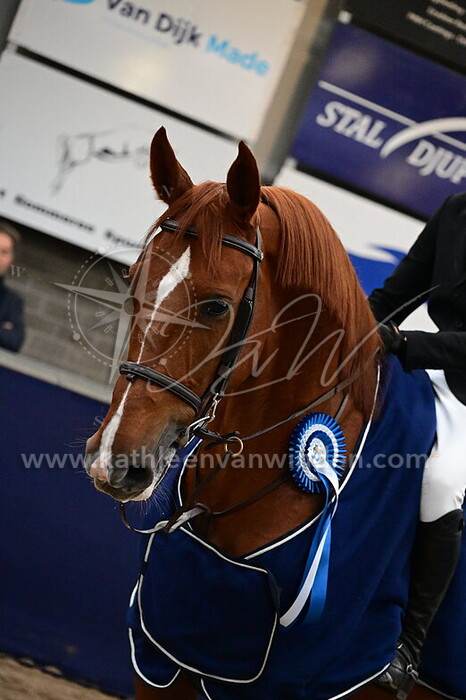 Maxime Thefenne - El Nino Bull's Eye Z