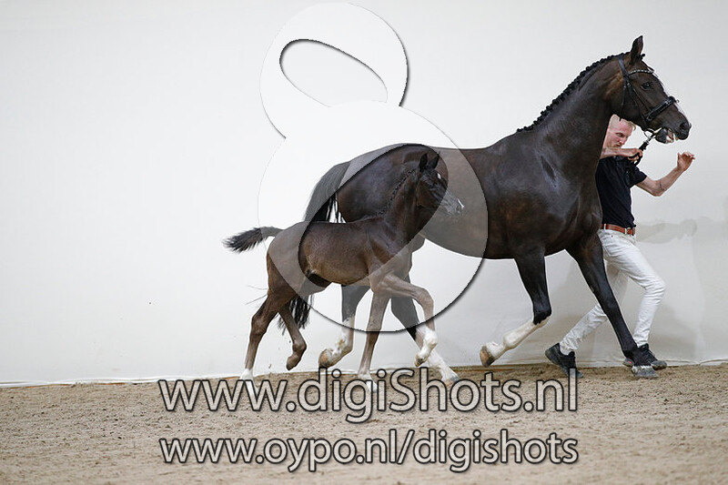 Op en Top Norene S v. Glocks Toto Jr