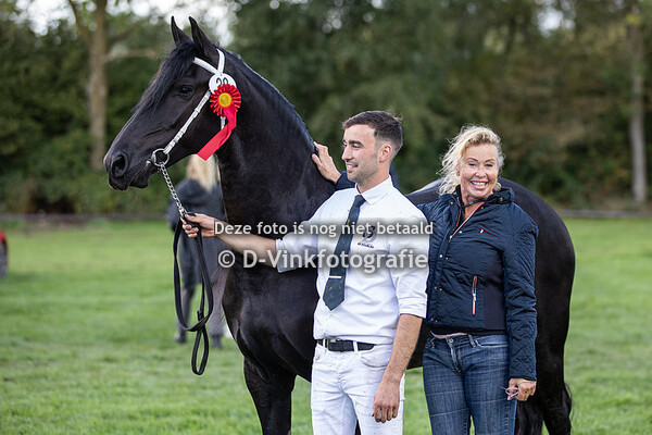 38. Wialda van de Demro Stables