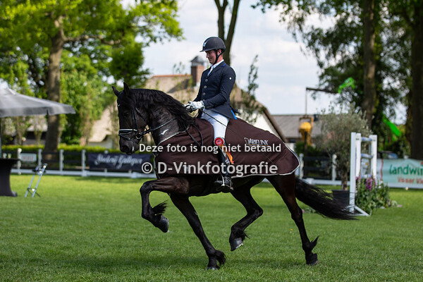 Bestgaand rijpaard en finale