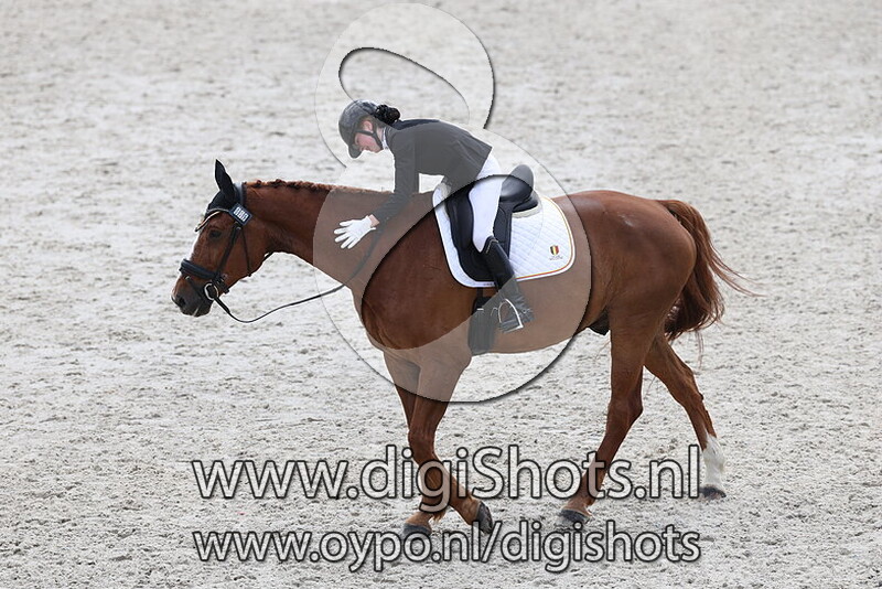 Glendale vd Kempenhoeve