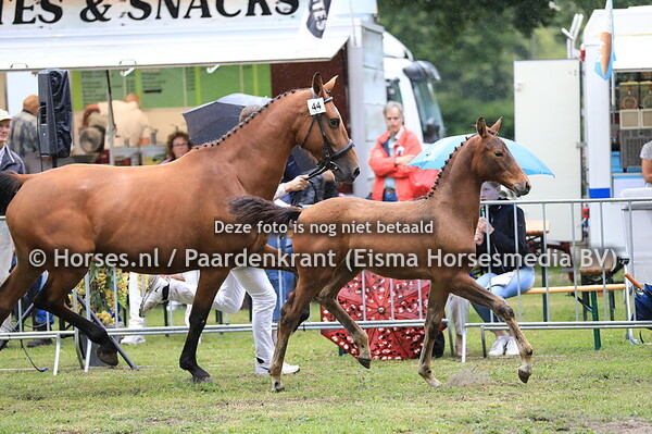 44 Ozonetta v For Gribaldi