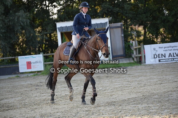 3de ronde (foutloze)