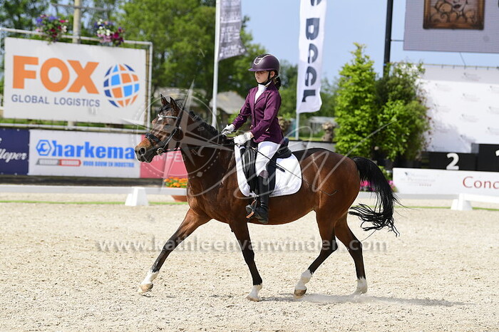 Madelief Wattel - Flower