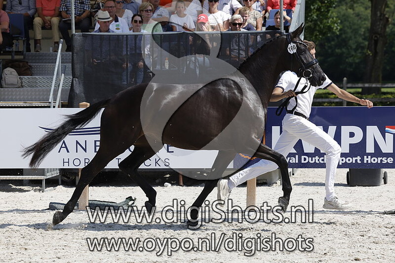 Pleione v. Lennox US