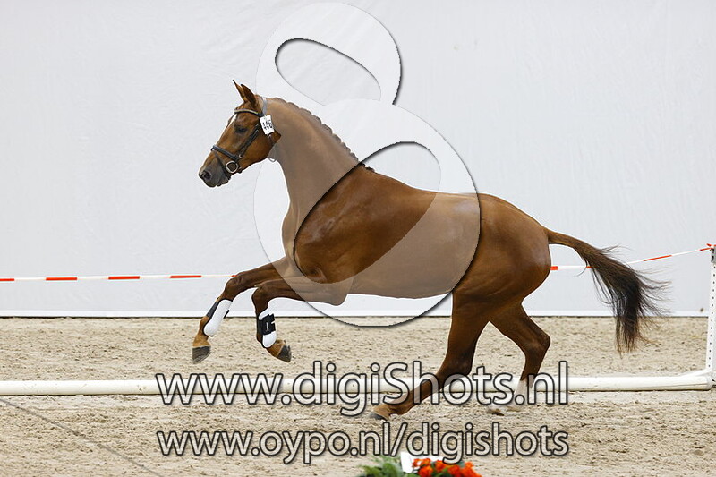 Nice Boy v. Glocks Toto Jr