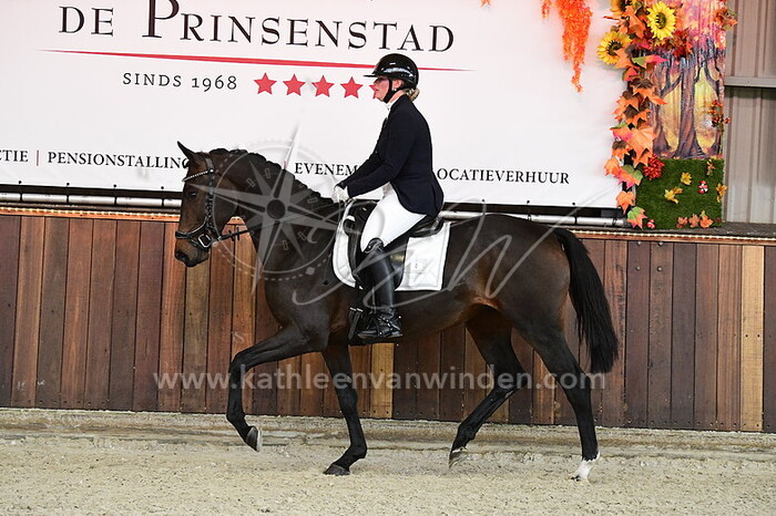 Nikita van de Werken - Phoxstrona La Donia