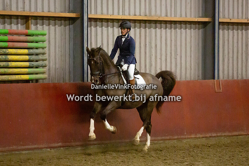 09. Klasse M2 paard