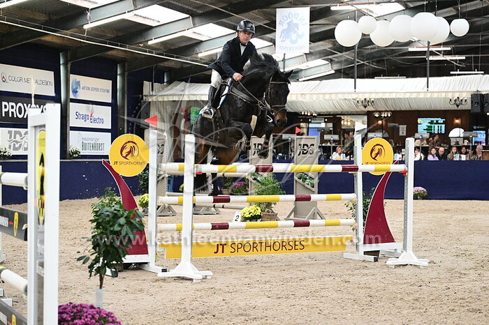 Rob Heyligers - Mick Jagger