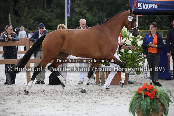 217 Lush High Five US x Gracia v. Ampere)