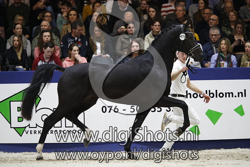 Le Grand Ayden HB v. Grand Galaxy Win