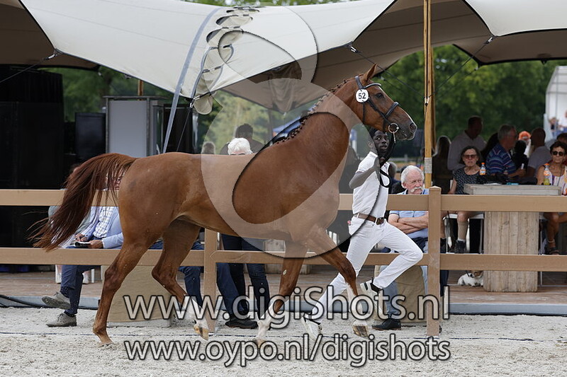 Pascha ES v. El Barone 111 Z