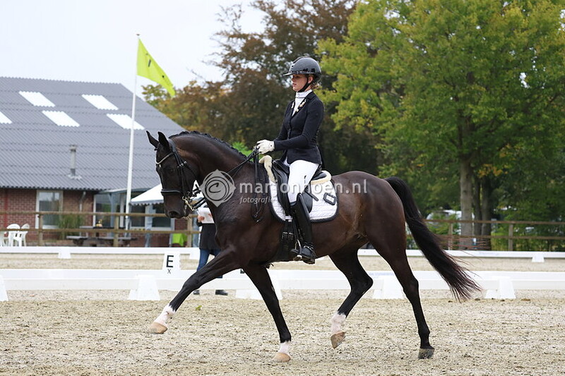 1112_ZILVERENSTER_M&Z_18SEPT2025