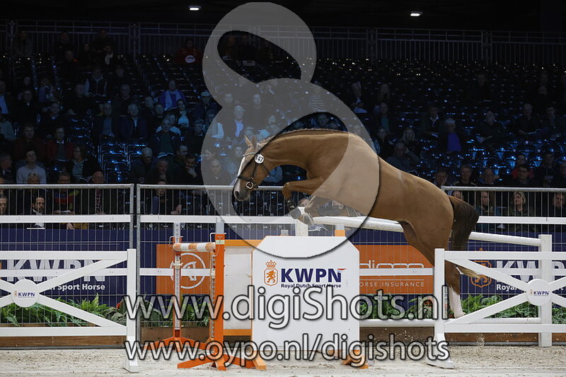 Red Bull v. Tangelo Van De Zuuthoeve - 147