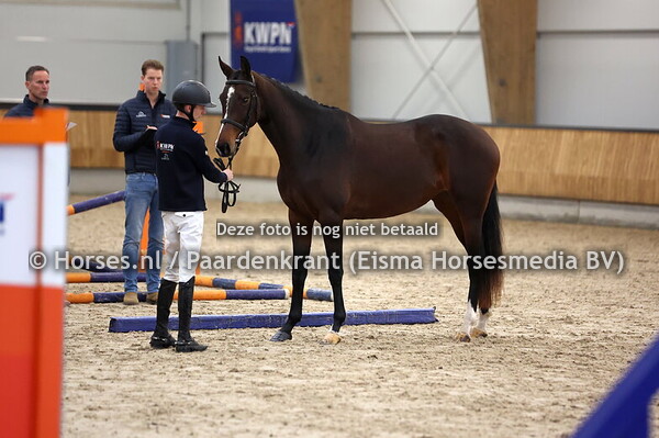 38 Sky Utopia (Las Vegas x Dakota Utopia v. Special D)