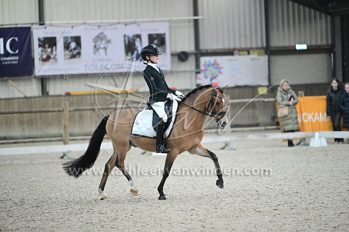 Lizzy Cloo - King Arthur