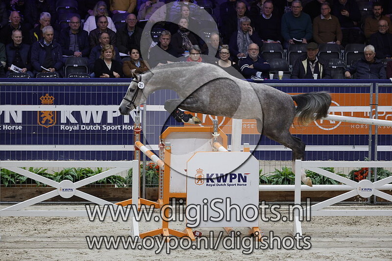 Utoki of the Paddocks v. Catoki - 021