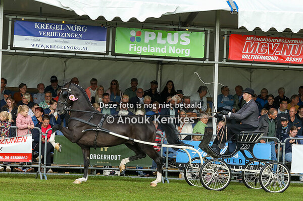 TP Kampioenschap 5 Jarigen 