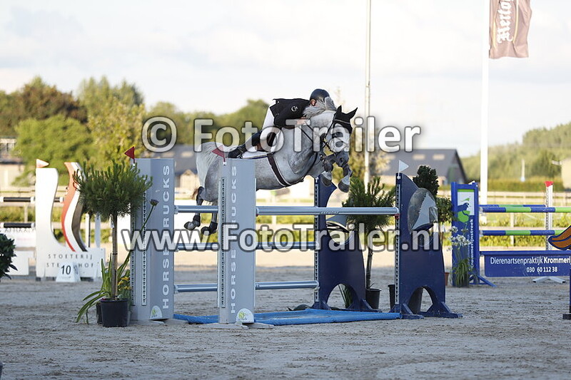 dennis van den brink