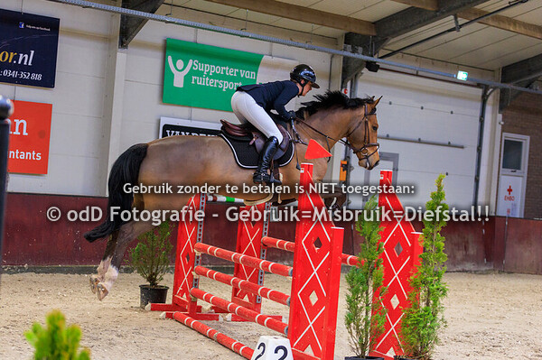 Springen Neuderuiters 100cm 23-01-26