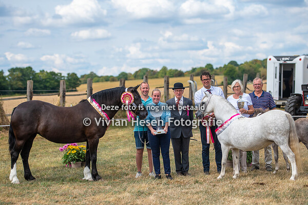 In hand (morning program)